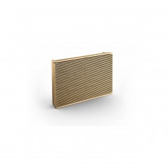 Aktivní reproduktor BeoSound Level