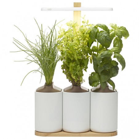 Domácí zahrada s Bluetooth LILO CONNECT (3 pods) OUTLET