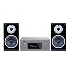 Stereo set: RCDN-10 + Raptor 1
