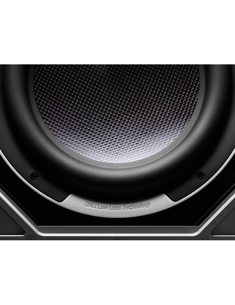 DALI Dali SUB M-10 D — aktivní subwoofer 10" 500 W pro domácí kino, uzavřený