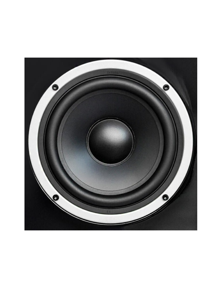 WILSON Wilson Raptor 9 Max — třípásmové podlahové reprosoustavy 2x8"