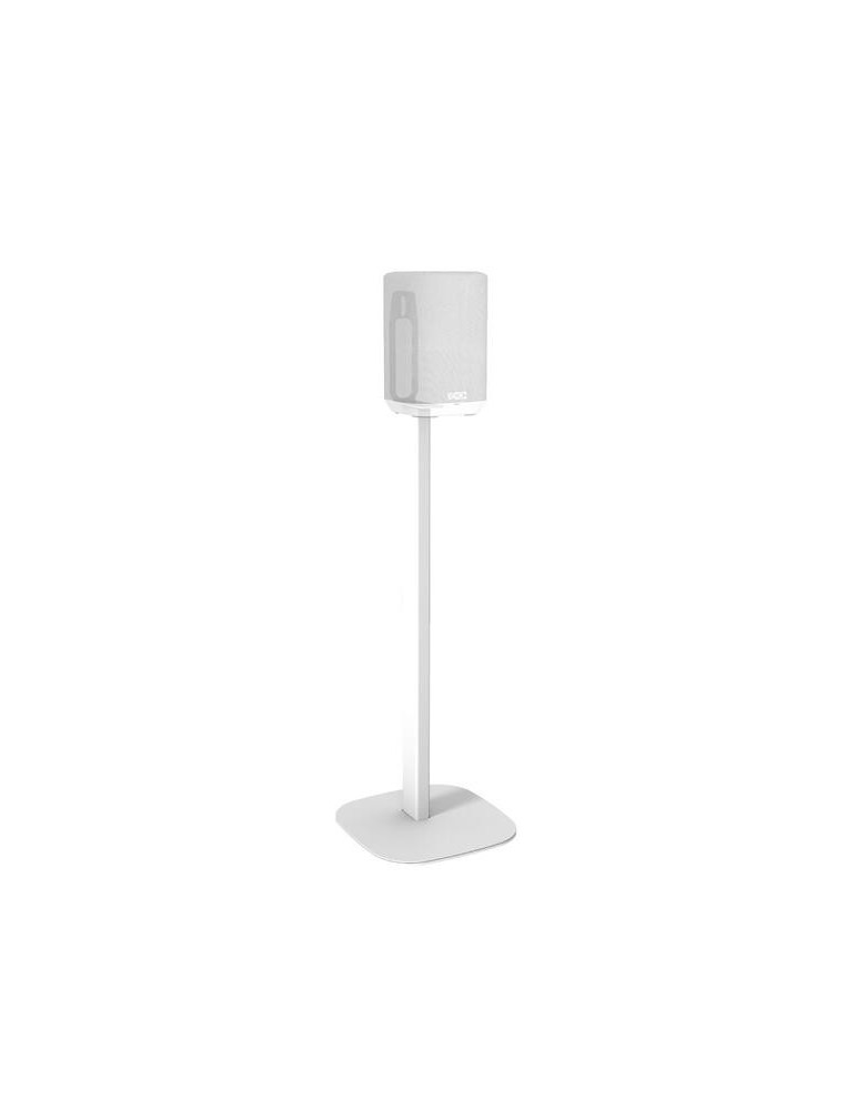 CAVUS CAVUS DH 150 STAND — Stojan