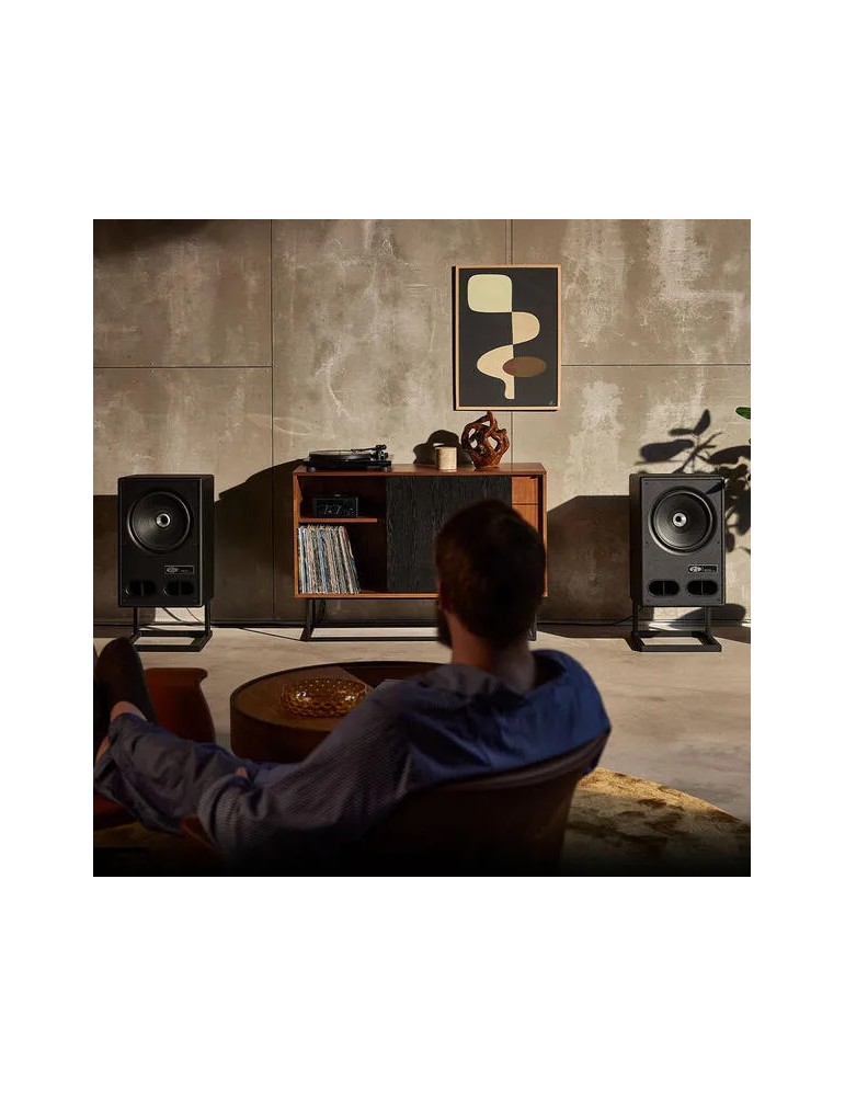 ARGON AUDIO Argon Audio Vestlyd V12C — Stojanové reproduktory koaxiální 12"