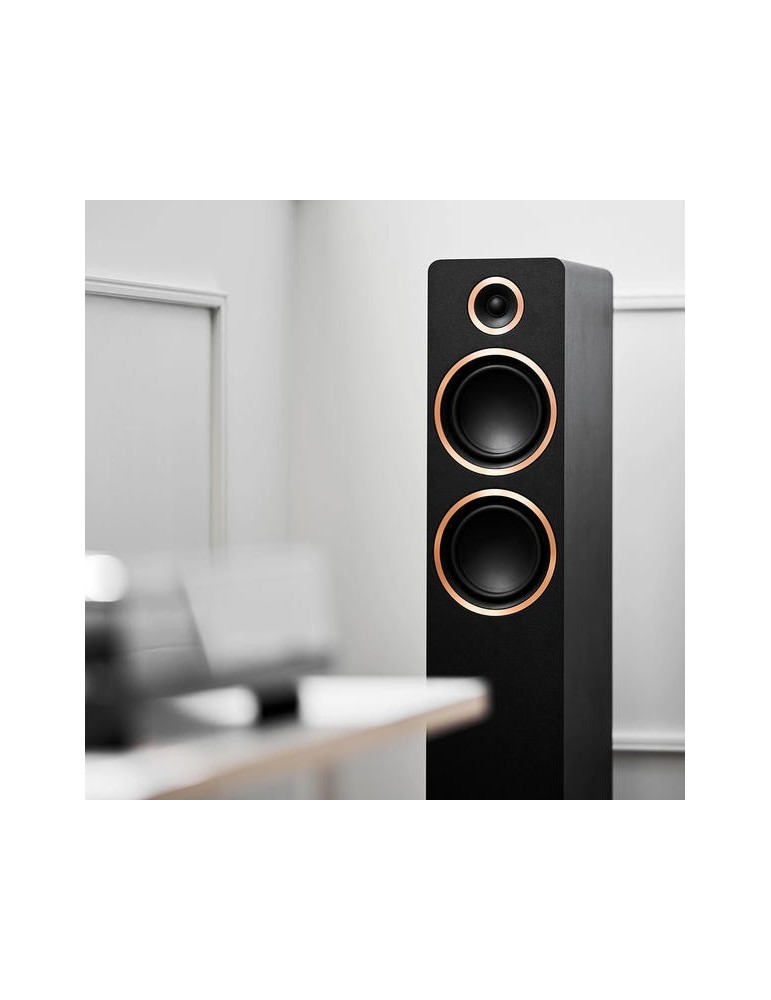 ARGON AUDIO Sestava Argon Audio TT-3 PLUS + FENRIS A55 — gramofon s aktivními