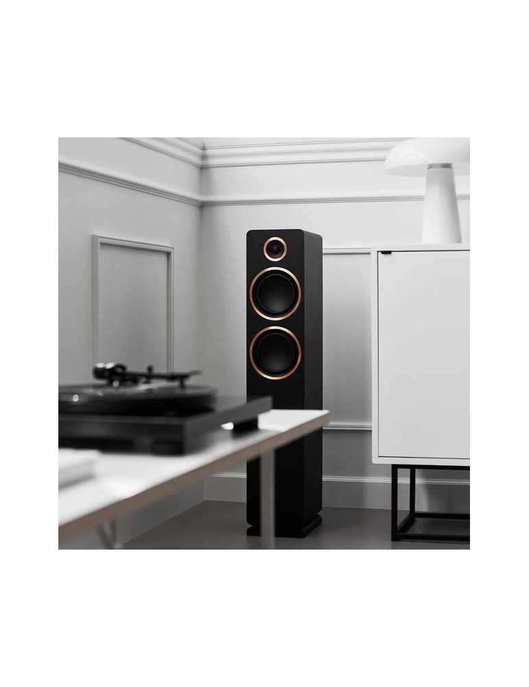 ARGON AUDIO Sestava Argon Audio TT-3 PLUS + FENRIS A55 — gramofon s aktivními