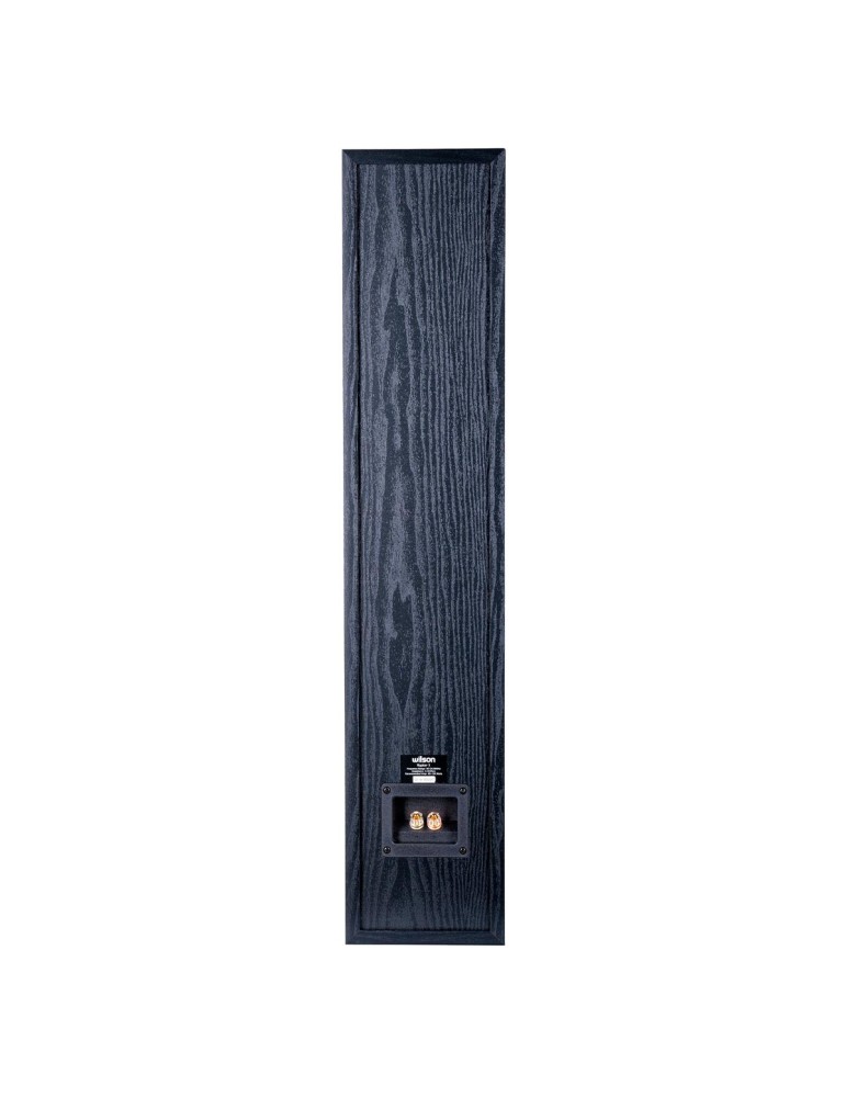 WILSON Wilson Raptor 5 — podlahové reproduktory, bass reflex, 45 Hz