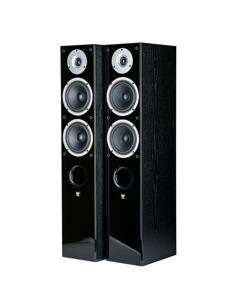 WILSON Wilson Raptor 5 — podlahové reproduktory, bass reflex, 45 Hz